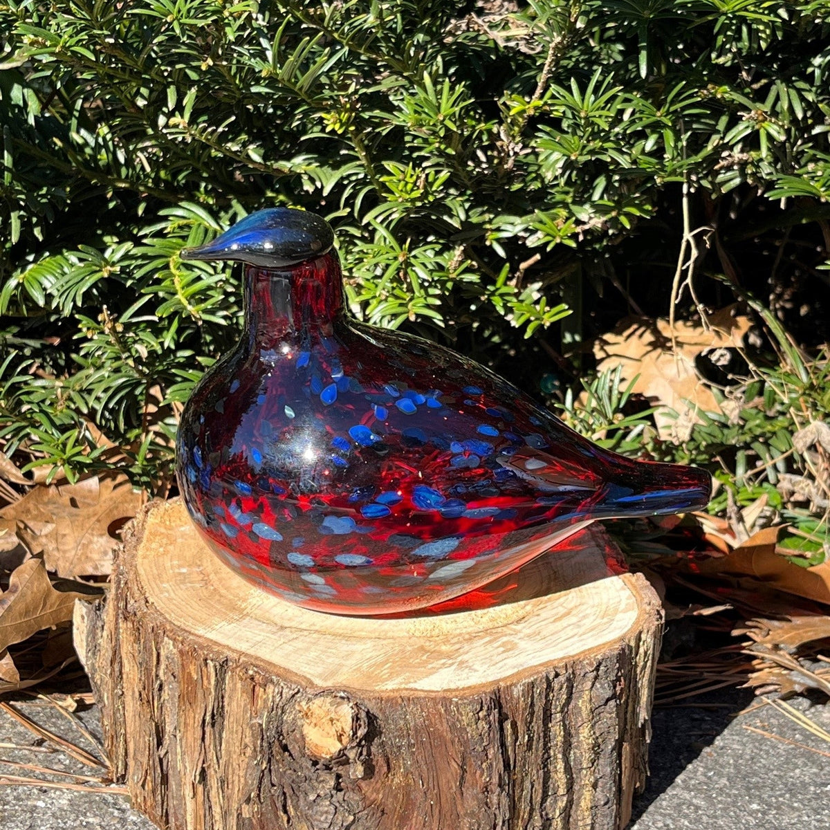 Ruby Bird Cranberry by Iittala – The Umstead Online Gift Shop