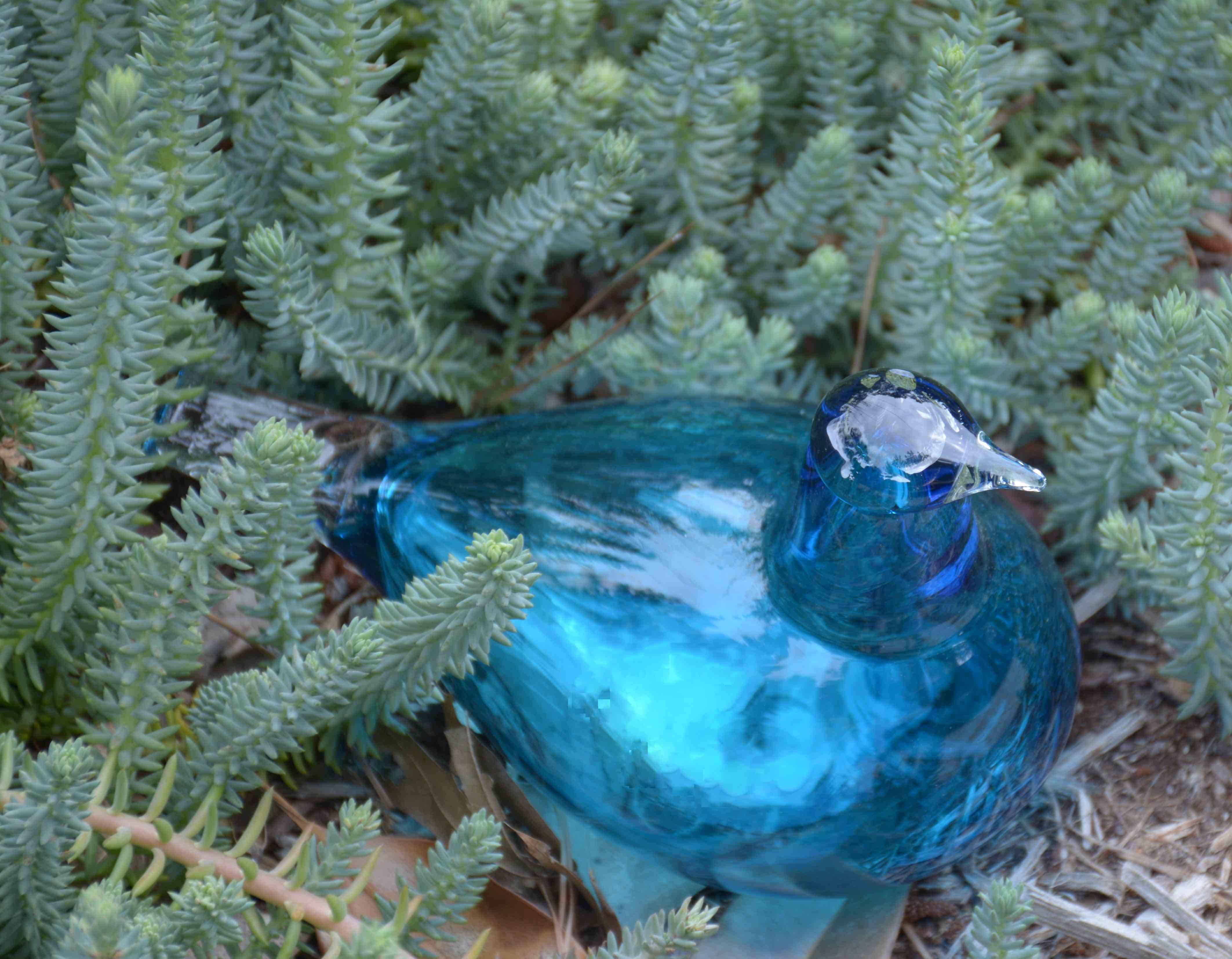 Iittala Turquoise Shorebird