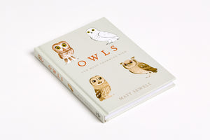 Owls by Matt Sewell