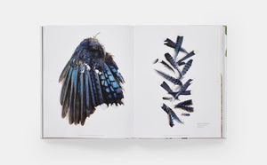 "Still" The Art of Noticing Hardcover