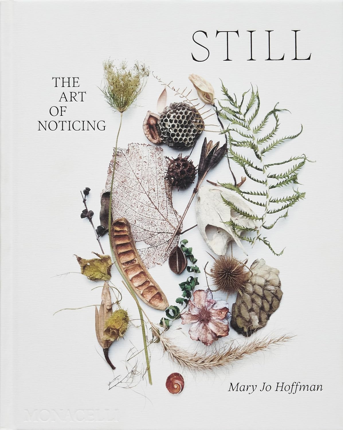 "Still" The Art of Noticing Hardcover