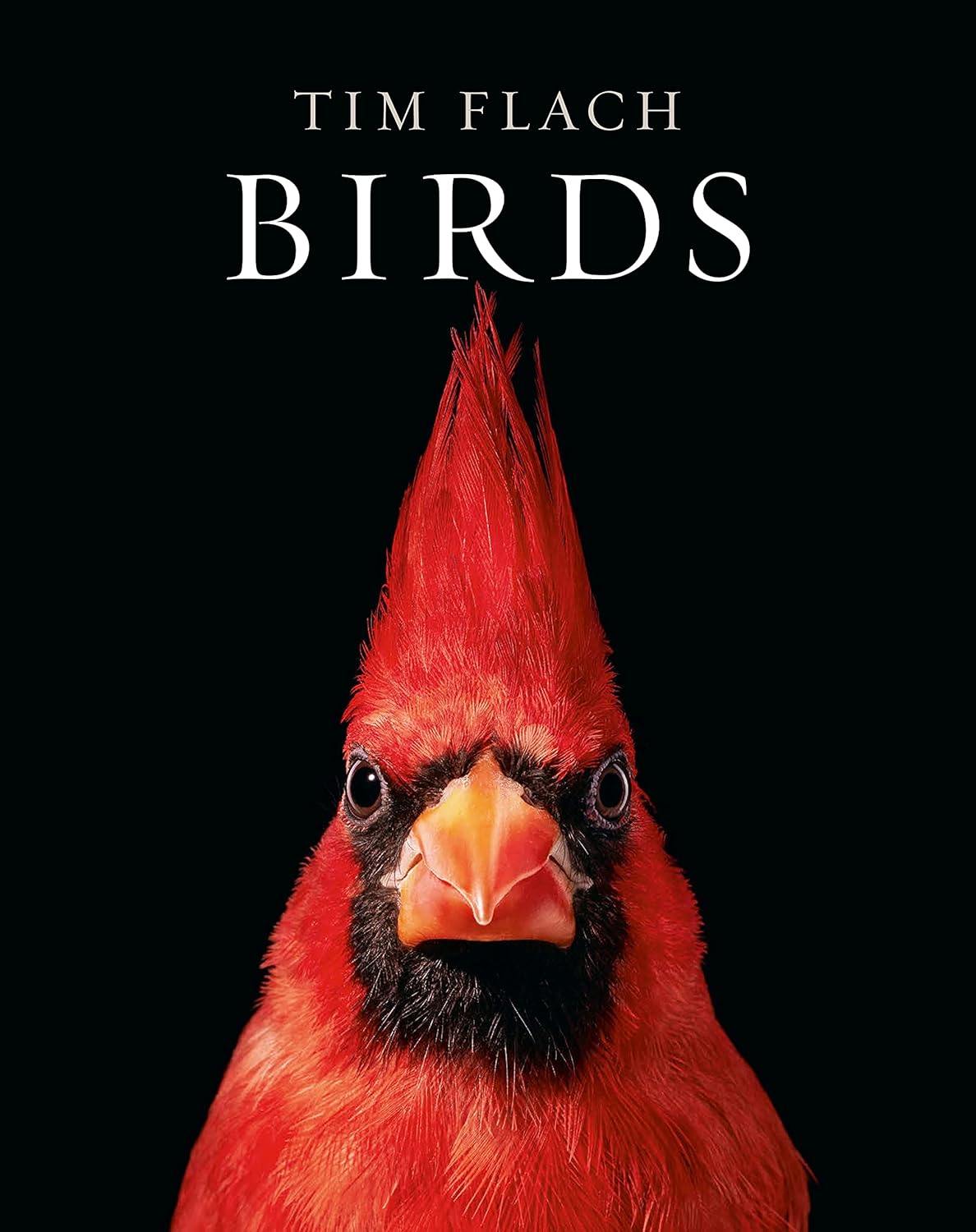 "Birds" By Tim Flach