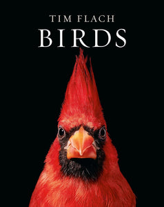 "Birds" By Tim Flach