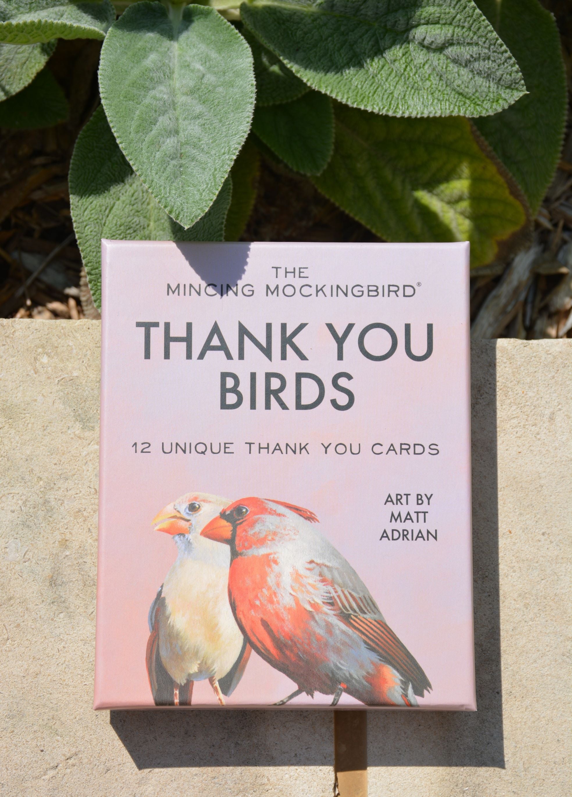 Thank You Birds Boxed Card Set of 12