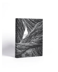 Patrick Dougherty & James Florio: Sticks