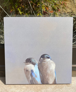 Mincing Mockingbird Swallow Pair 10x10