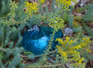 Iittala Turquoise Shorebird