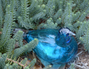 Iittala Turquoise Shorebird