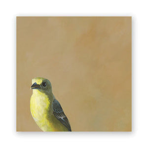Mincing Mockingbird Goldfinch 8X8