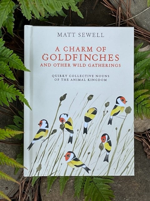 A Charm Of Goldfinches and other Wild Gatherings by Matt Sewell