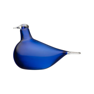 Blue Shorebird