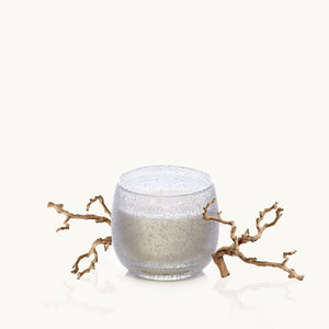 Fève de Tonka Ballon Candle- Small (9oz.)
