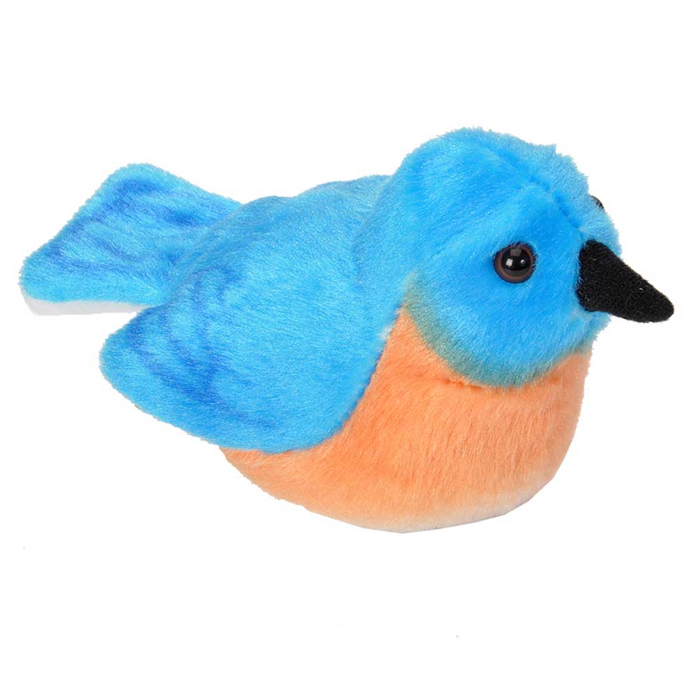 Eastern Bluebird Audubon Bird