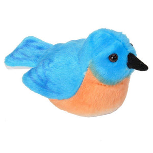 Eastern Bluebird Audubon Bird