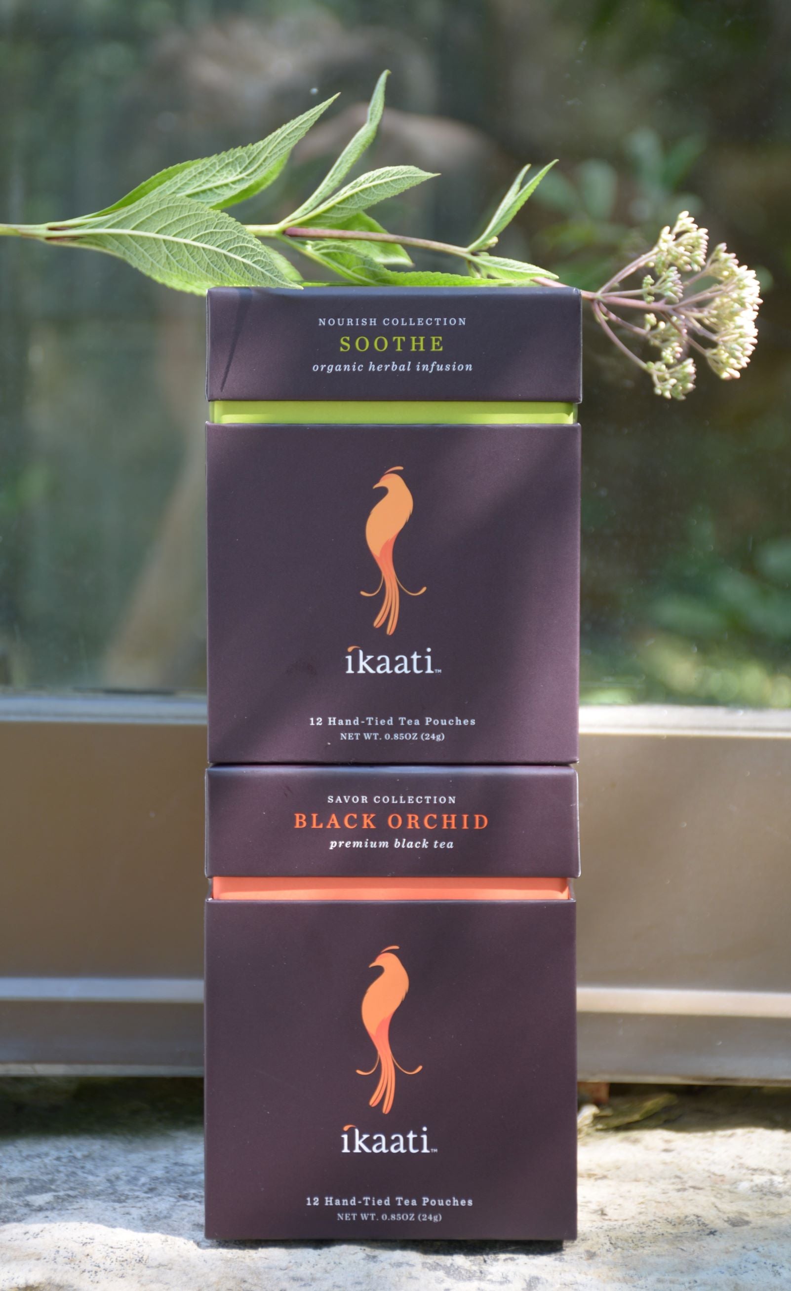 Ikaati Black Orchid Tea