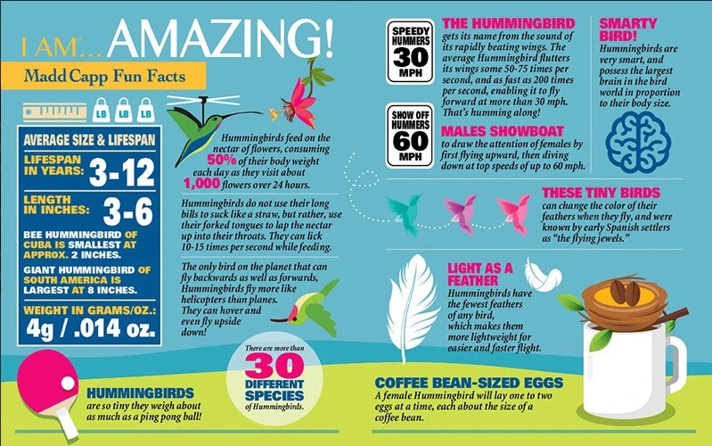 I am Hummingbird 300 Piece Puzzle