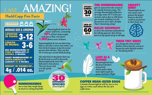 I am Hummingbird 300 Piece Puzzle
