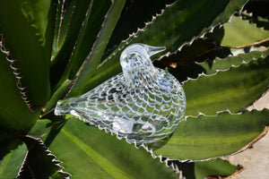 Mediator Dove