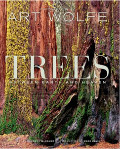 Trees Between Earth and Heaven - Photography by Art Wolfe