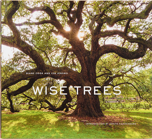 Wise Trees by Diane Cook and Len Jenshel