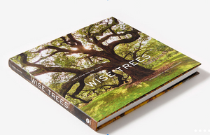 Wise Trees by Diane Cook and Len Jenshel